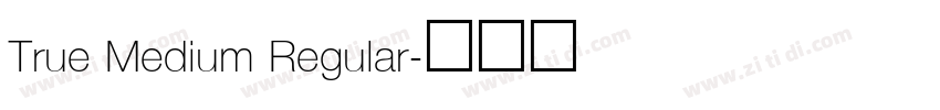 True Medium Regular字体转换